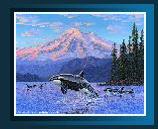 Orcas whale painting sanjuan islands washington mt baker puget sound
