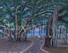 Painting # 23 Banyan tree in Lahaina. Original acrylic on canvasboard 11x14 inches $295 SOLD