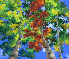 Aspen Trees painting picture fall autumn foliage