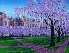 UW Quad Blossoms university of washington painting picture