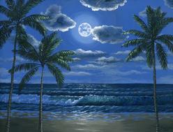 Hawaiian beach in the moonlight painting picture
